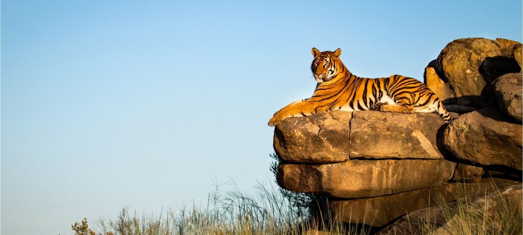 african heart retreats