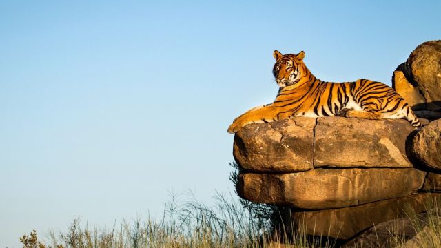 african heart retreats