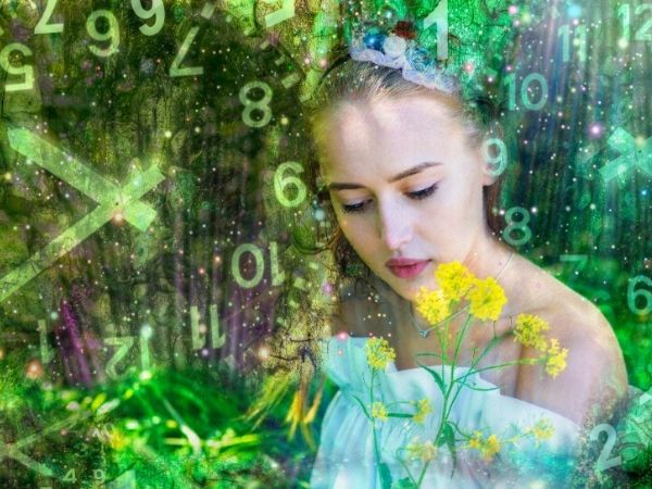 numerology person