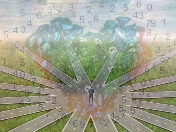 pathways numerology